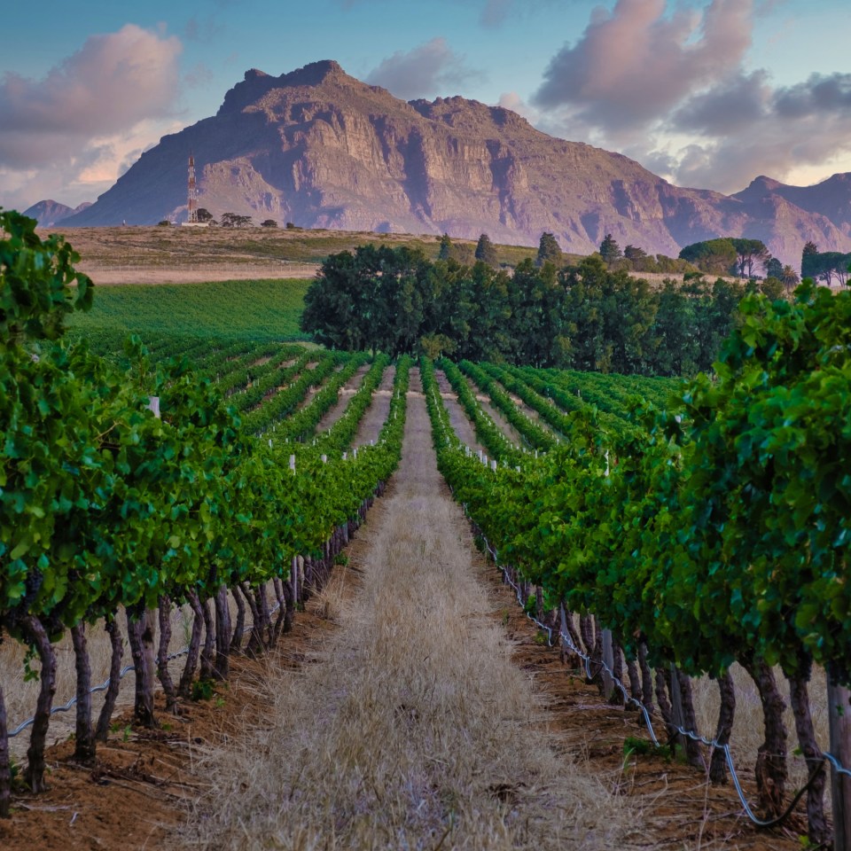 Südafrika - Entlang der Garden Route zu den Big Five